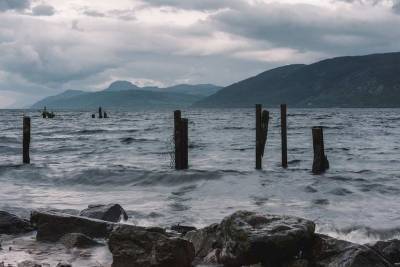Шотландские ученые обнаружили в озере Лох-Несс колючую форель огромных размеров