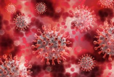Эксперт назвал примерные сроки спада эпидемии коронавируса в Петербурге