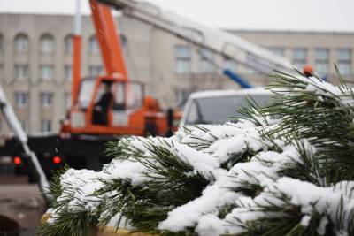 Фотофакт: на площади Ленина устанавливают Новогоднюю елку