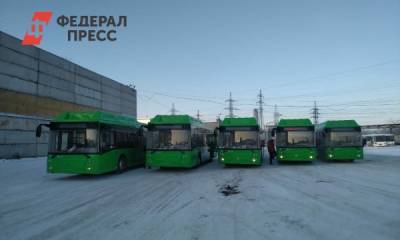 В Челябинск привезли пять из 36 экологичных автобусов