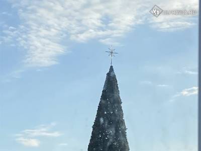 Центральную ёлку Ульяновска украсили звездой