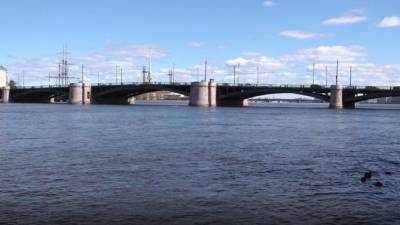 Сезон разводки мостов в Петербурге завершился 30 ноября