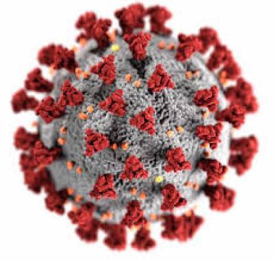 Биолог рассказала о странном последствии коронавируса