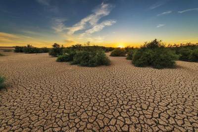 Ученые заявили о необратимости катастрофы на Земле из-за климатических изменений