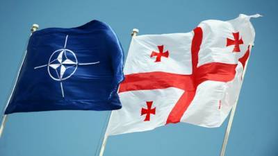 СМИ узнали, что Грузии могут дать ПДЧ в НАТО без Украины