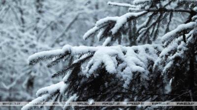 Зима уже пришла. Морозы до -10°С ожидаются в Беларуси