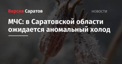 МЧС: в Саратовской области ожидается аномальный холод