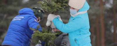 В дзержинском парке «Утиное озеро» высадили 22 саженца пихты