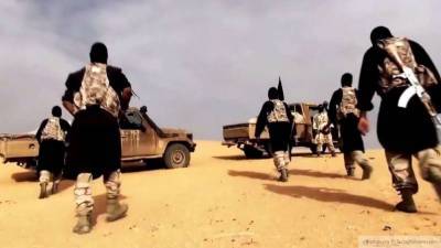 В ЛНА раскрыли подробности операции по захвату террористов "Аль-Каиды"