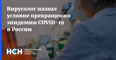Вирусолог назвал условие прекращения эпидемии COVID-19 в России