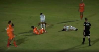 Сорвала матч и сбила футболистку: игривая собака выбежала на поле в Бразилии