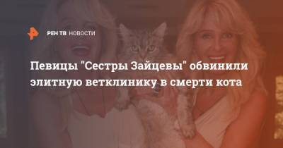Певицы "Сестры Зайцевы" обвинили элитную ветклинику в смерти кота
