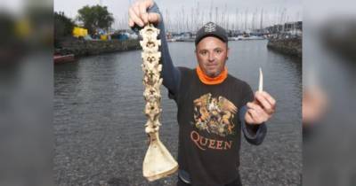Британец нашел на пляже «скелет русалки» — бывалые рыбаки такого еще не видели