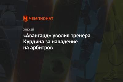 «Авангард» уволил тренера Курдина за нападение на арбитров