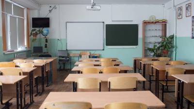 Петербуржцы просят Беглова о "нормальной удалёнке" в школах