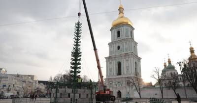 В Киеве на Софийской площади начали устанавливать главную елку страны