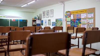 Число классов на удалёнке в школах Петербурга выросло на четверть