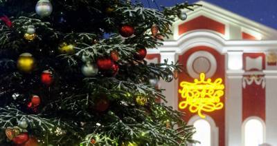 Около 1 000 новогодних елок украсят улицы Москвы