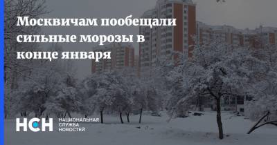 Москвичам пообещали сильные морозы в конце января