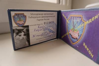 Фото: кот Карасик вступил в ряды ЛДПР в Санкт-Петербурге