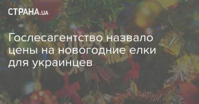 Гослесагентство назвало цены на новогодние елки для украинцев