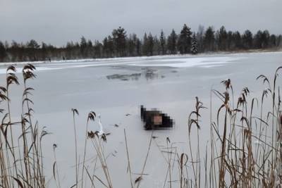 В Каргопольском районе погиб лыжник, провалившись под лёд