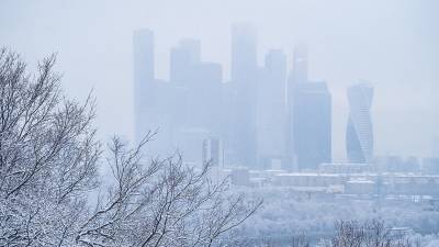 В мэрии Москвы назвали примерные сроки начала сильных морозов в столице