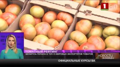 Беларусь попала в топ-15 мировых экспортеров томатов