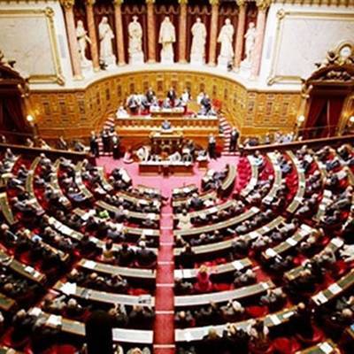 Парламент Франции предложил переписать текст статьи "О глобальной безопасности"