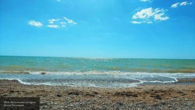 Мужчина в Британии обнаружил на пляже «останки русалки»
