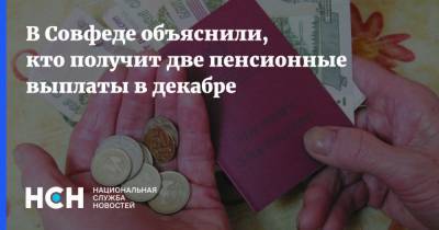 Елен Бибиков - В Совфеде объяснили, кто получит две пенсионные выплаты в декабре - nsn.fm - Россия