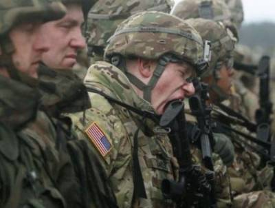 «Польские свиньи» улучшили сотрудничество с союзниками по НАТО» - США