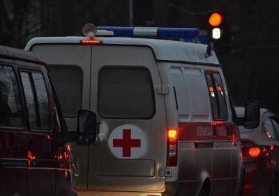 В Волгограде восьмилетняя девочка умерла от бешенства