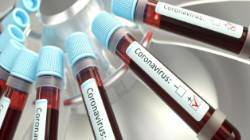 Антитела к коронавирусу обнаружены у 17,6% проверенных орловцев
