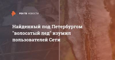 Найденный под Петербургом "волосатый лед" изумил пользователей Сети