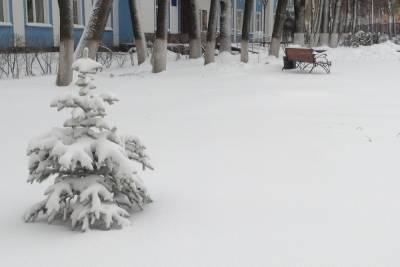 В Смоленске первый день зимы намекает на ее приход
