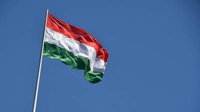 Депутаты в Закарпатье спели гимн Венгрии вместо украинского