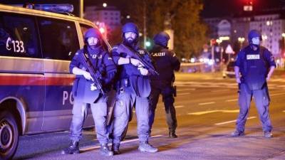 СМИ сообщают о новых атаках террористов в Вене