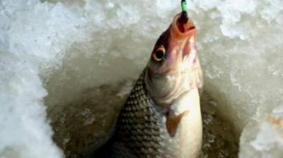 На Луганщине с 1 ноября запрещен вылов рыбы в зимовальных ямах: онлайн карта с координатами