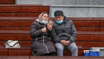 В Совфеде оценили идею лимита на онлайн-переводы для пенсионеров
