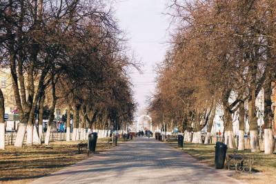 В центре Рязани может появиться бульвар Есенина