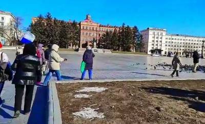 Участники «Русского марша» в Хабаровске собрали подписи за Фургала и протестно покормили голубей