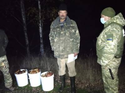 Пограничники дважды задерживали жителей соседних сел, собиравших грибы в чернобыльской зоне