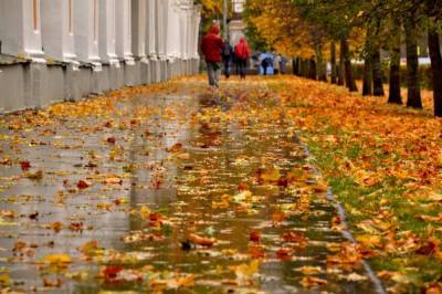 Украинцев предупредили, где ждать дождей 5 ноября и какой будет погода на выходных