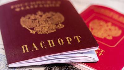 Более 170 тысяч жителей ДНР получили гражданство РФ