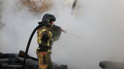 Женщина и двое детей заживо сгорели в частном доме в Челябинске