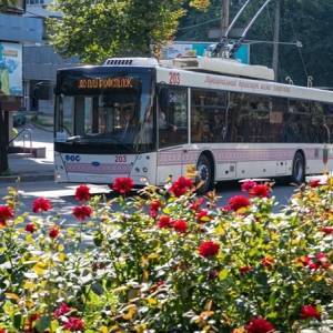 В Запорожье временно приостановят бесплатную перевозку пенсионеров в общественном транспорте