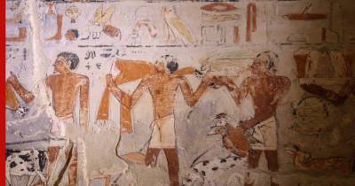 Археологи раскрыли «тайну гробницы» возрастом 4500 лет