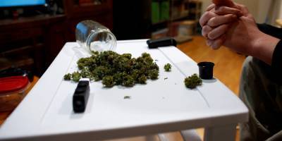В США в день выборов штаты Аризона, Нью-Джерси и Южная Дакота поддержали легализацию марихуаны