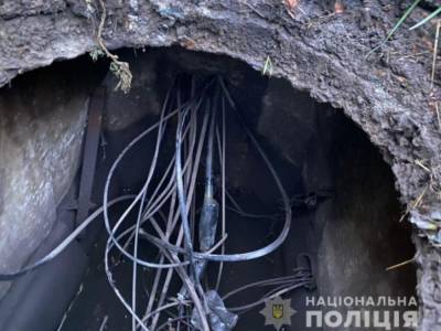В Запорожье 30-летний рецидивист украл телефонный кабель